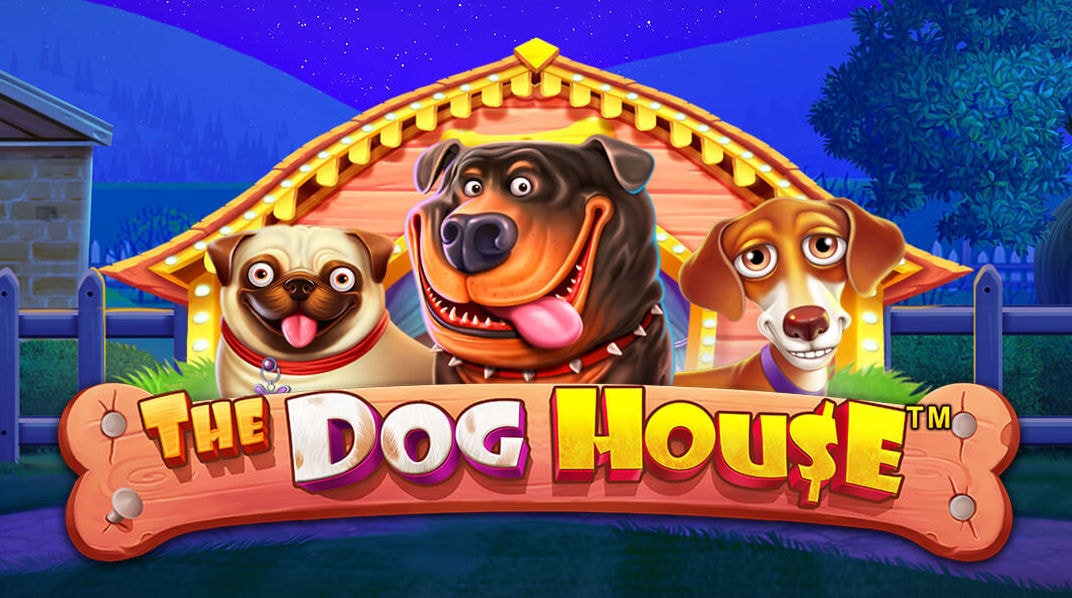 Dog House